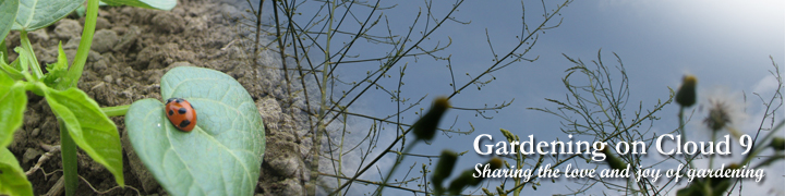 Gardening on Cloud 9