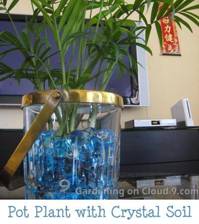 Pot Plant with Crystal Soil
