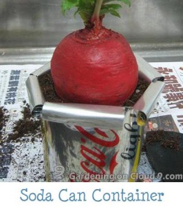 How to Make Soda Can Container