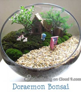 Tabletop Container Garden - Doraemon Bonsai
