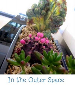Tabletop Garden - In The Outer Space