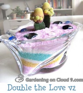 Tabletop Container Garden - Double the Love v2