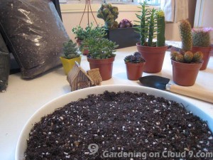 Tabletop Garden - Cactus Garden