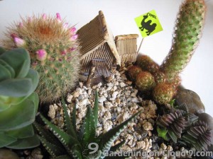Tabletop Garden - Cactus Garden v2