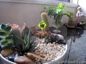 Tabletop Garden - Cactus Garden v2