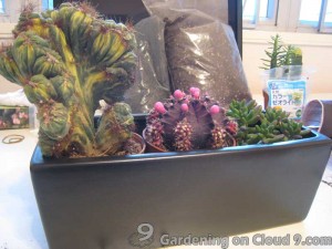 Tabletop Garden - In The Outer Space