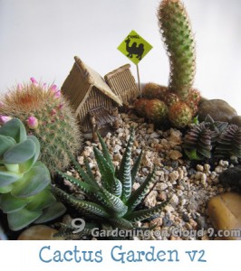 Tabletop Garden - Cactus Garden v2
