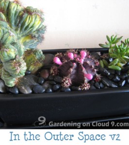 Tabletop Garden - In The Outer Space v2