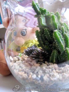 Tabletop Garden - Fishbowl of Cactus