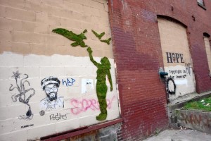 Moss Graffiti by Edina Tokodi