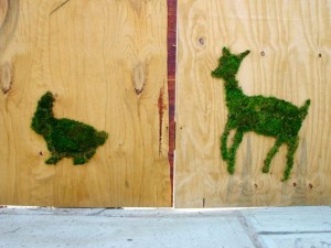 Moss Graffiti by Edina Tokodi