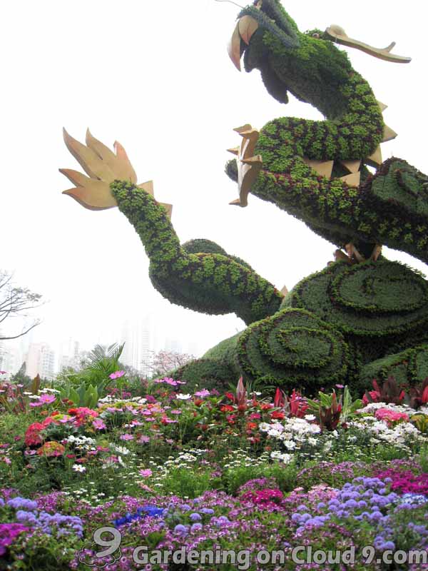 Hong Kong Flower Show